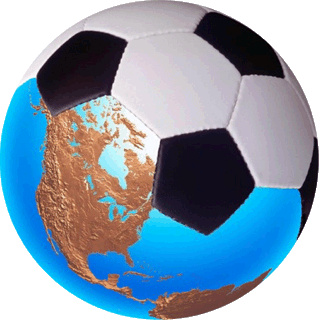 information on soccer balls